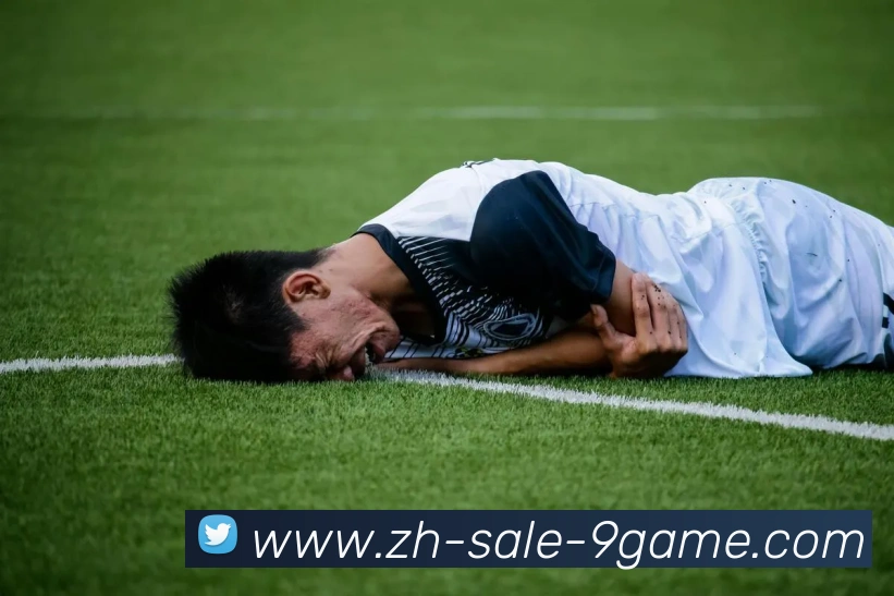 J9九游平台生态图