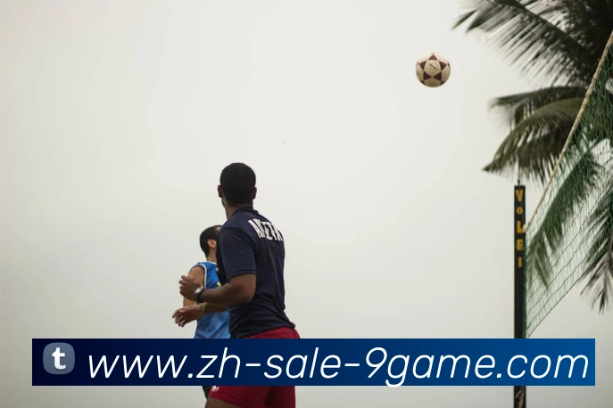 J9九游APP 封面图